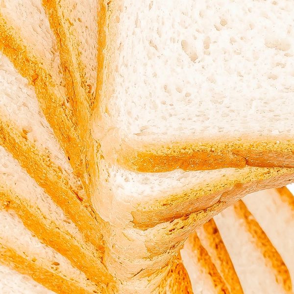 Pan de Molde